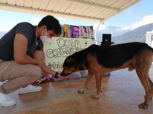 Apoyo_Gramalote_canino_3