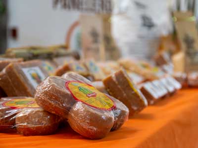 Proyecto Reactivar Panela Cauca