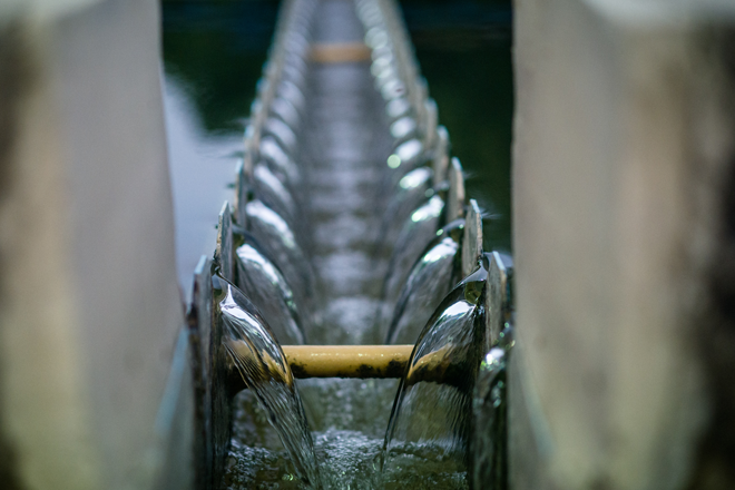 ¡Agua para todos!  Gobierno Nacional entrega sistemas de Acueducto, en Nóvita, Chocó
