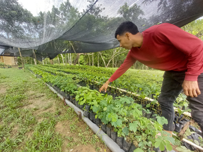 Socialización rehabilitación ecológica Vereda Camarón - Carmen de Bolívar, Bolívar
