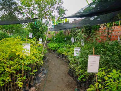 Visita viveros El Banco, Magdalena