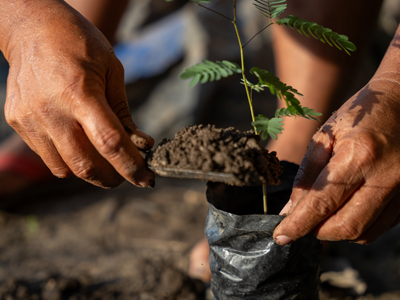 Vivdeo El Banco Magdalena