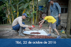 Familias cacaoteras de Caño Indio ingresarán al programa Reactivar de Fondo Adaptación