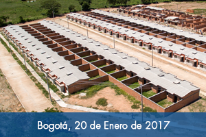  Fondo Adaptación entregó otras 460 viviendas adaptadas al cambio climático 