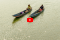 casaculturalvideodos.png